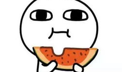 爆料卧槽吃瓜视频大全集,视频大全集深度解析