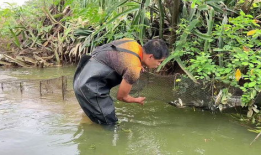 捉鱼视频,视频中的欢乐海洋之旅